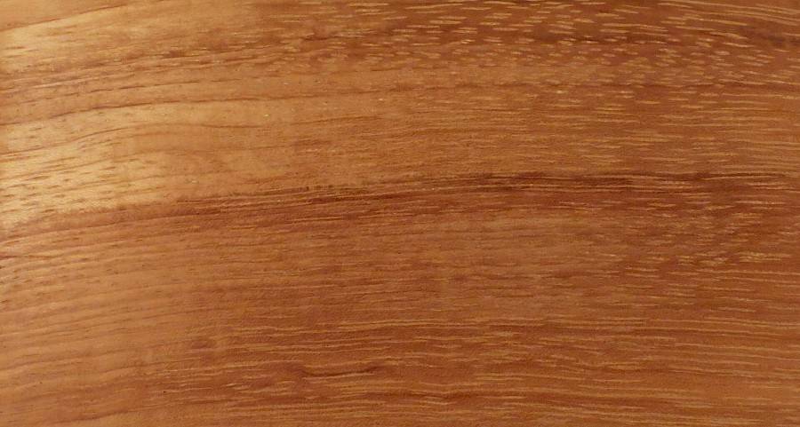 sample Afzelia Pachyloba